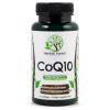 CoQ10 Ubiquinone 120 mg