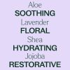 Lavender Body Lotion with Aloe & Shea 8oz