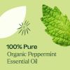 Plant Therapy Organic Peppermint Essential Oil 10ml