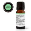 Plant Therapy Organic Peppermint Essential Oil 10ml