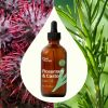 Plant Therapy Rosemary & Castor Hair Oil 4oz