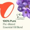 Plant Therapy Sensual Essential Oil Blend Roll On