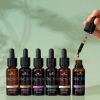 Tincture Beginners Set