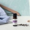 Plant Therapy Sparkling Lavender Laundry Essential Oil Blend