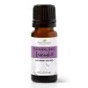 Plant Therapy Sparkling Lavender Laundry Essential Oil Blend