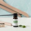 Plant Therapy Sparkling Peppermint Laundry Essential Oil Blend