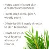 Plant Therapy Tea Tree Essential Oil Blend Roll On